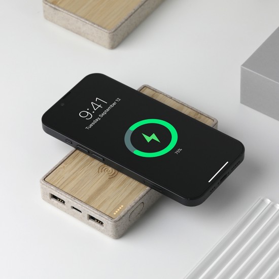 Powerbank Powerbank