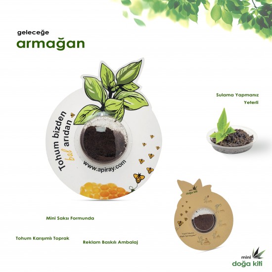 Mini Doğa Kiti