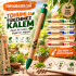 Tohumlu Tükenmez Kalem