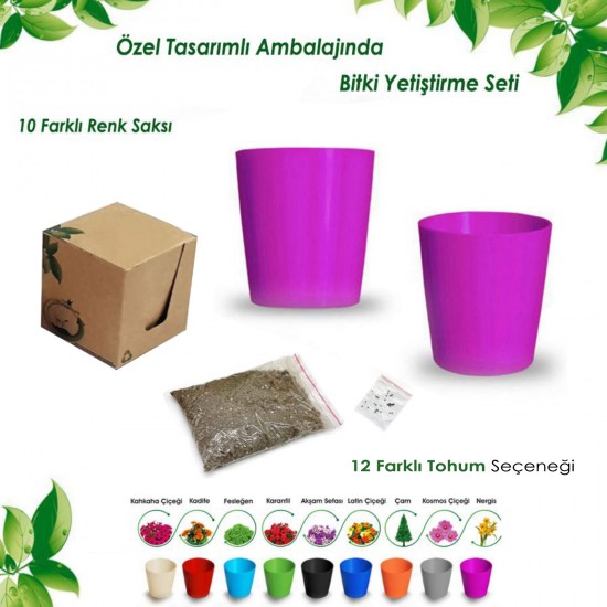 Kutulu Bitki Dikim Seti (Yuvarlak) Kutulu Bitki Dikim Seti (Yuvarlak)