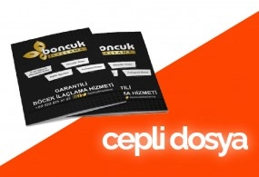 Cepli Dosya